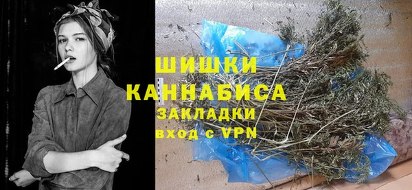 гидропоника Новозыбков