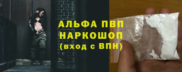 соль ск Новодвинск