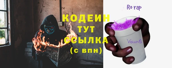 соль ск Новодвинск