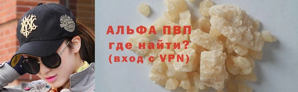 соль ск Новодвинск