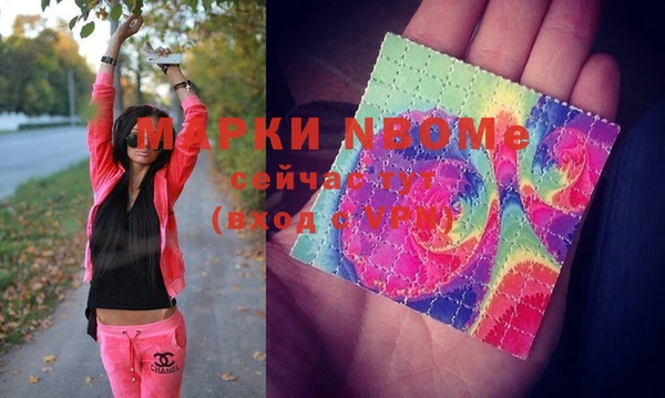гидропоника Новозыбков