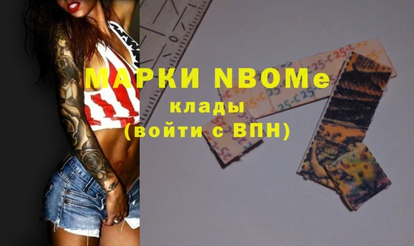 соль ск Новодвинск