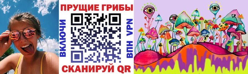 Псилоцибиновые грибы Magic Shrooms  Рыбное 